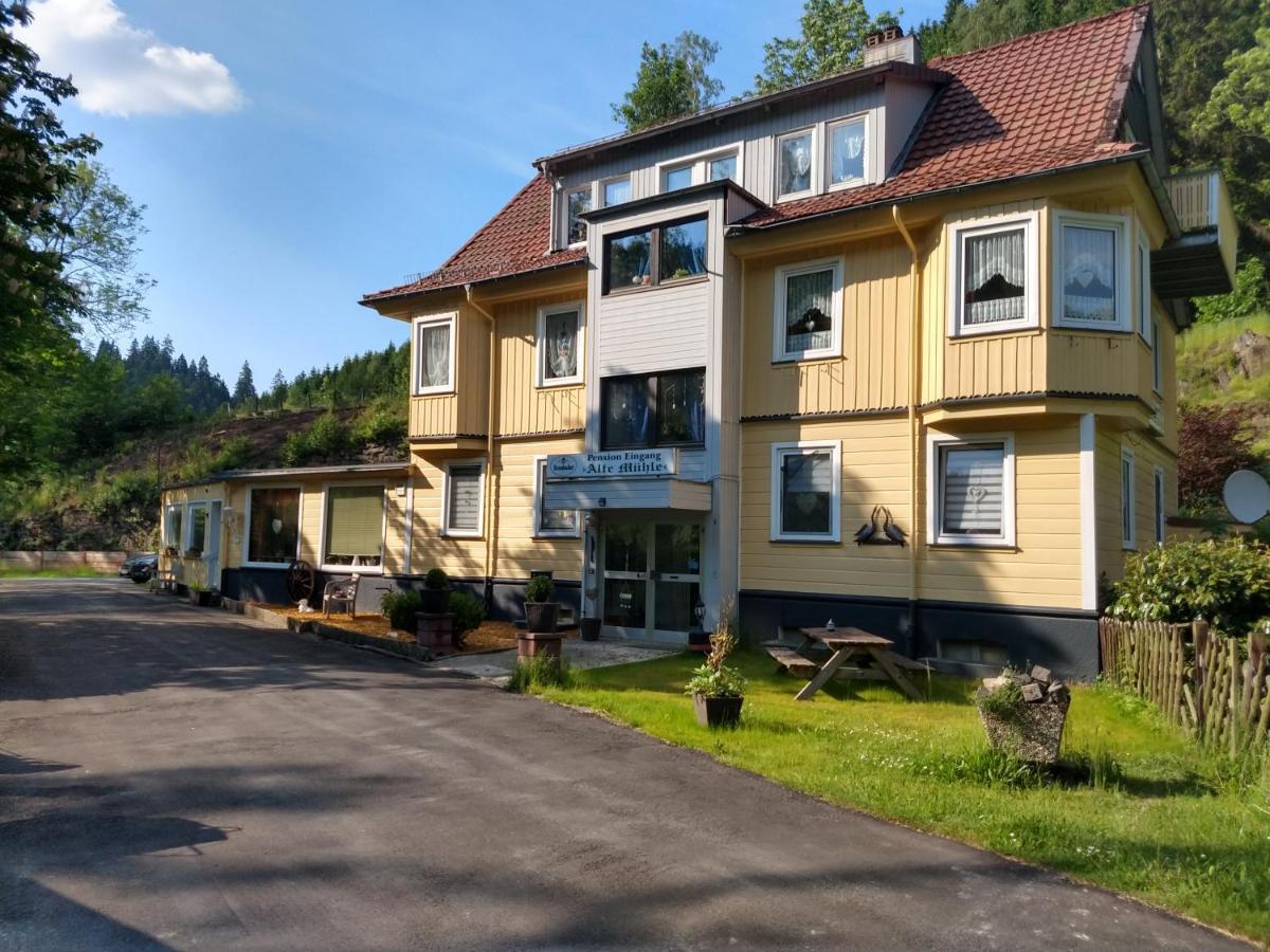 Alte Muehle Fewo Renate Apartamento Wildemann Exterior foto